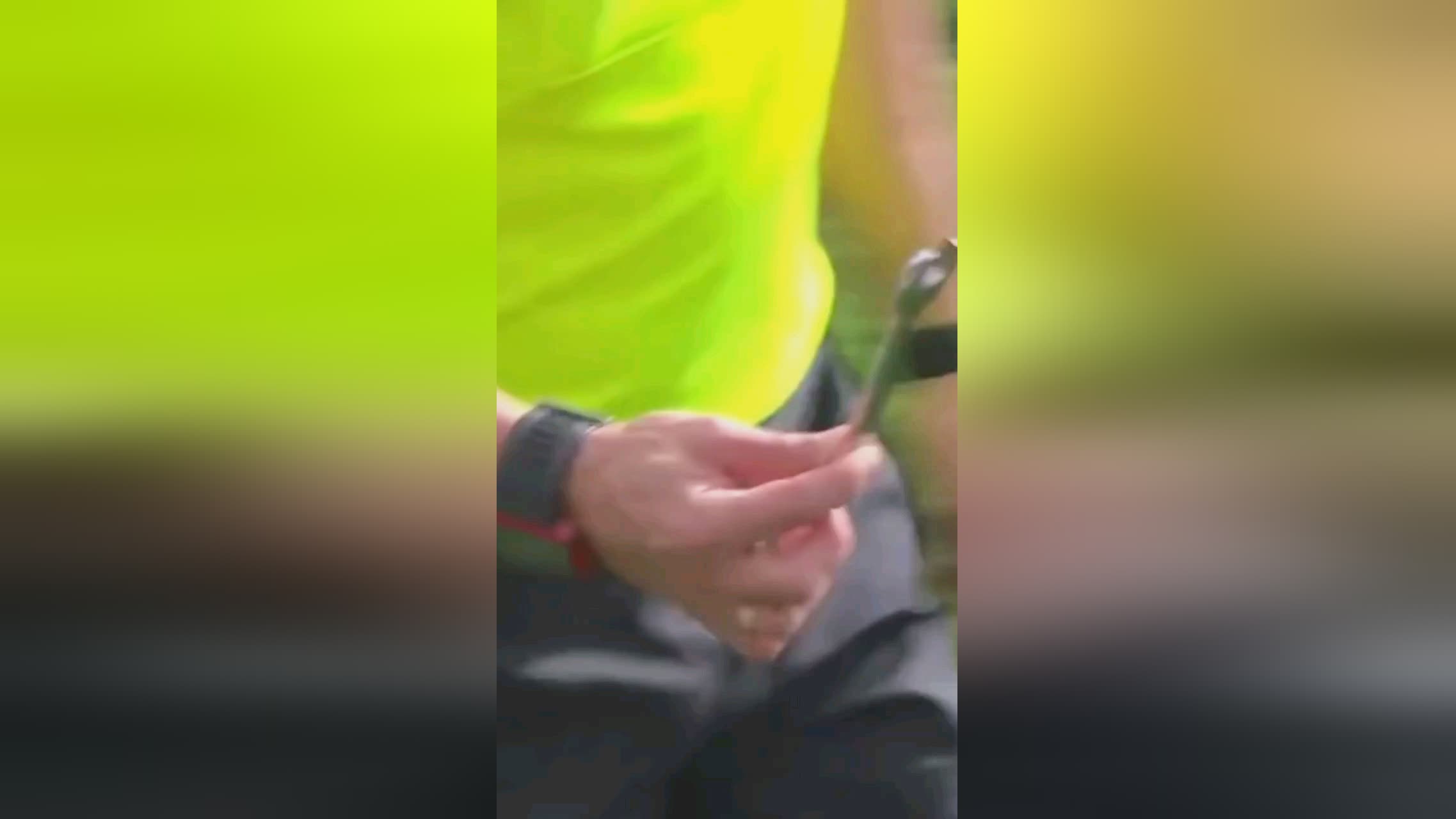 须为突发情